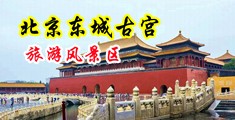 色就是色骚逼中国北京-东城古宫旅游风景区